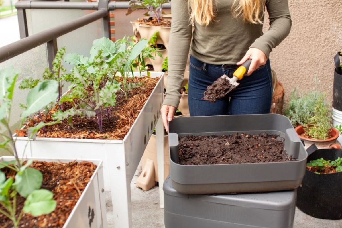 When To Apply Compost To Garden