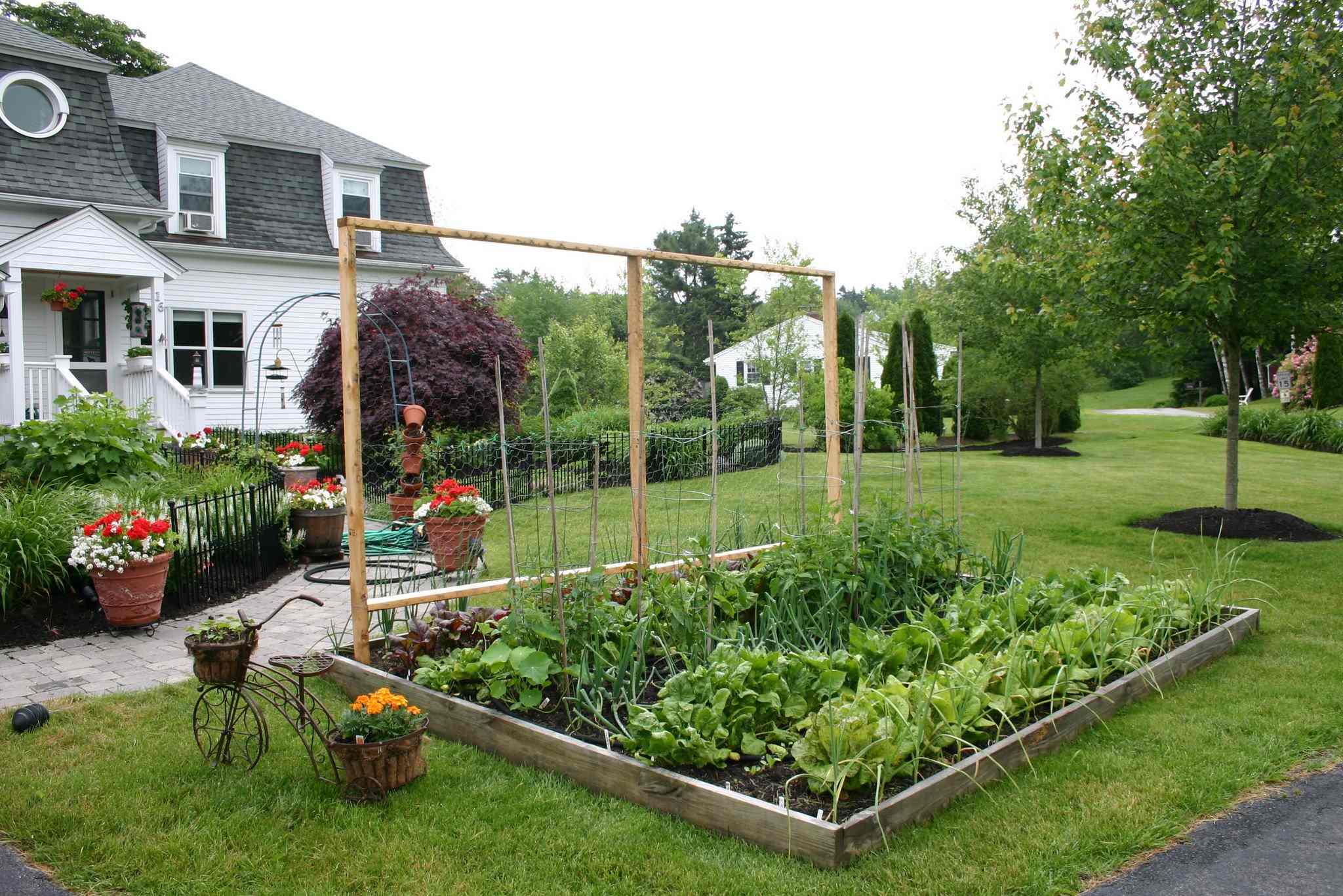 When To Start Planting A Garden In Illinois