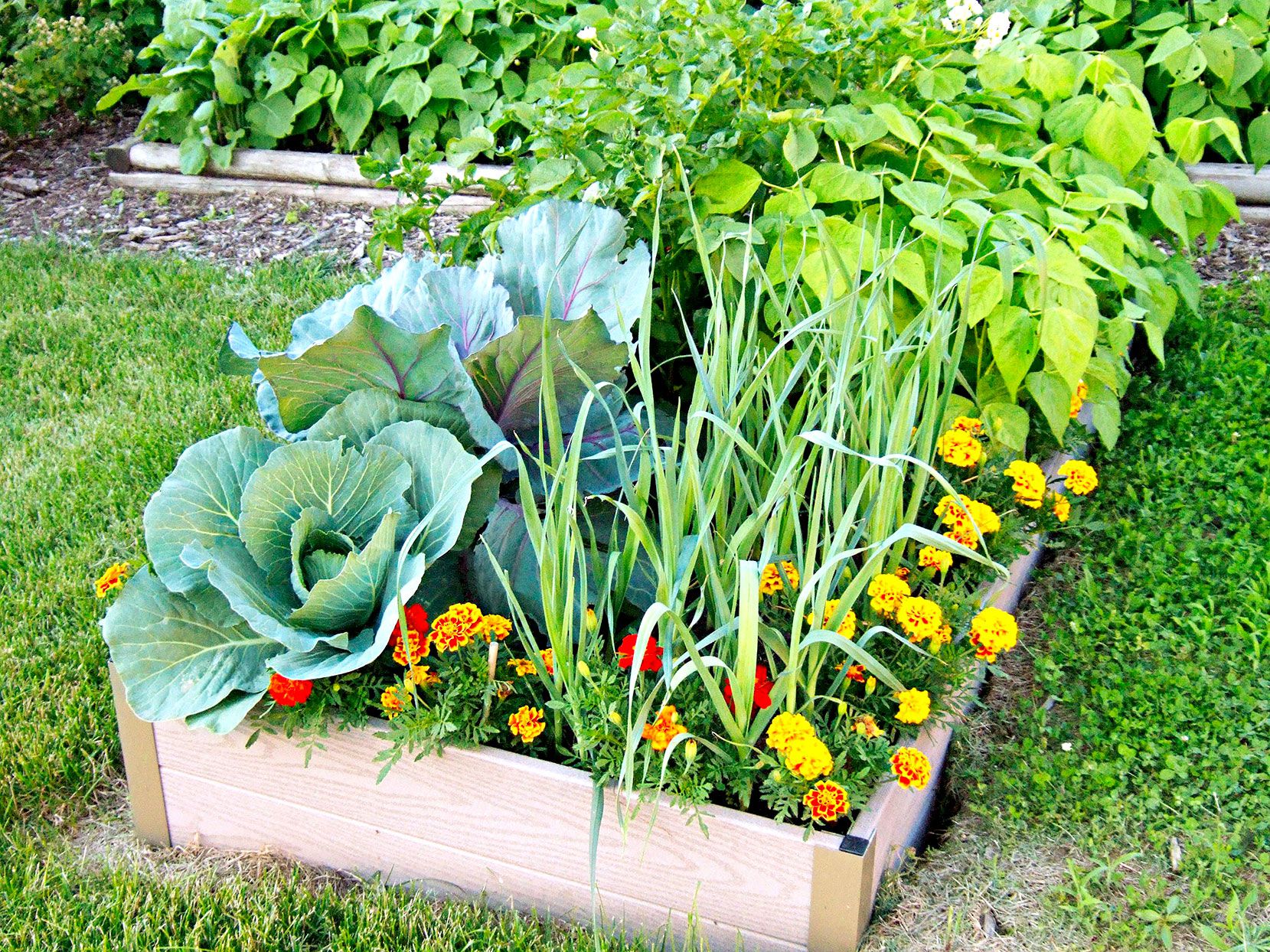 When To Start Planting Vegetables