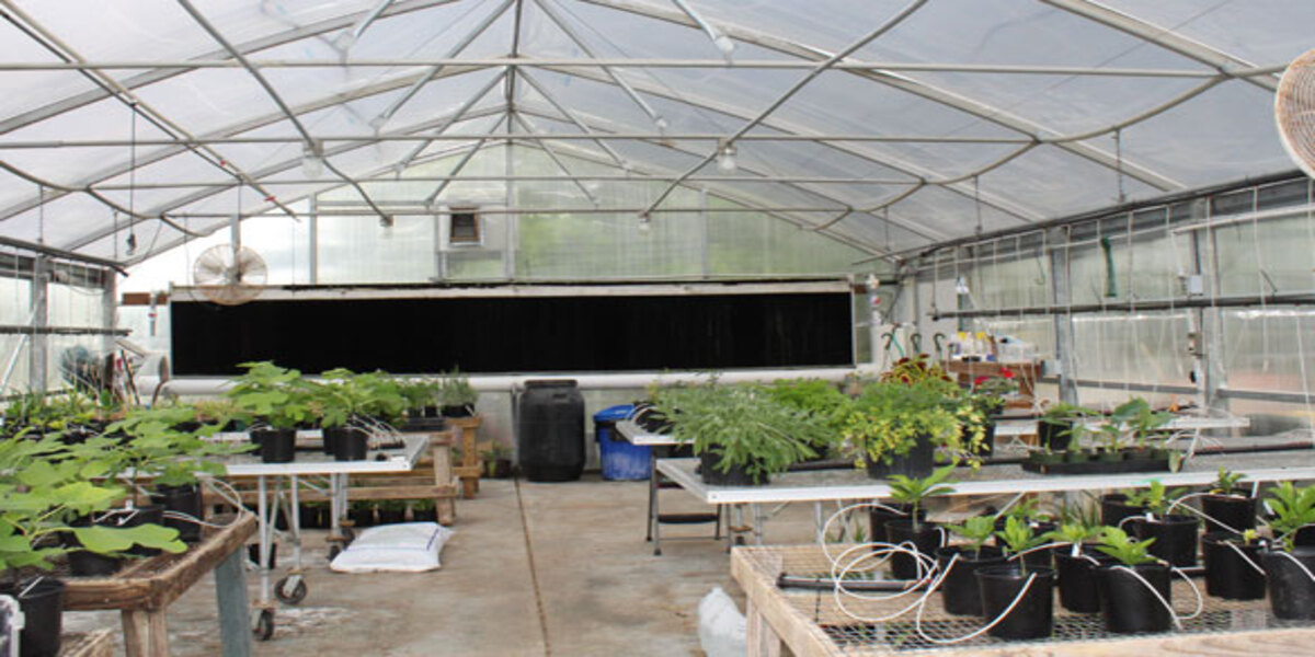 Where Can I Buy Greenhouse Supplies