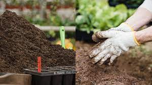 Where Can You Buy Compost