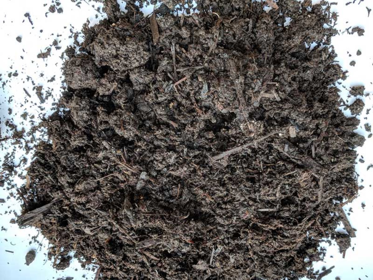 Where To Buy Compost Near Me