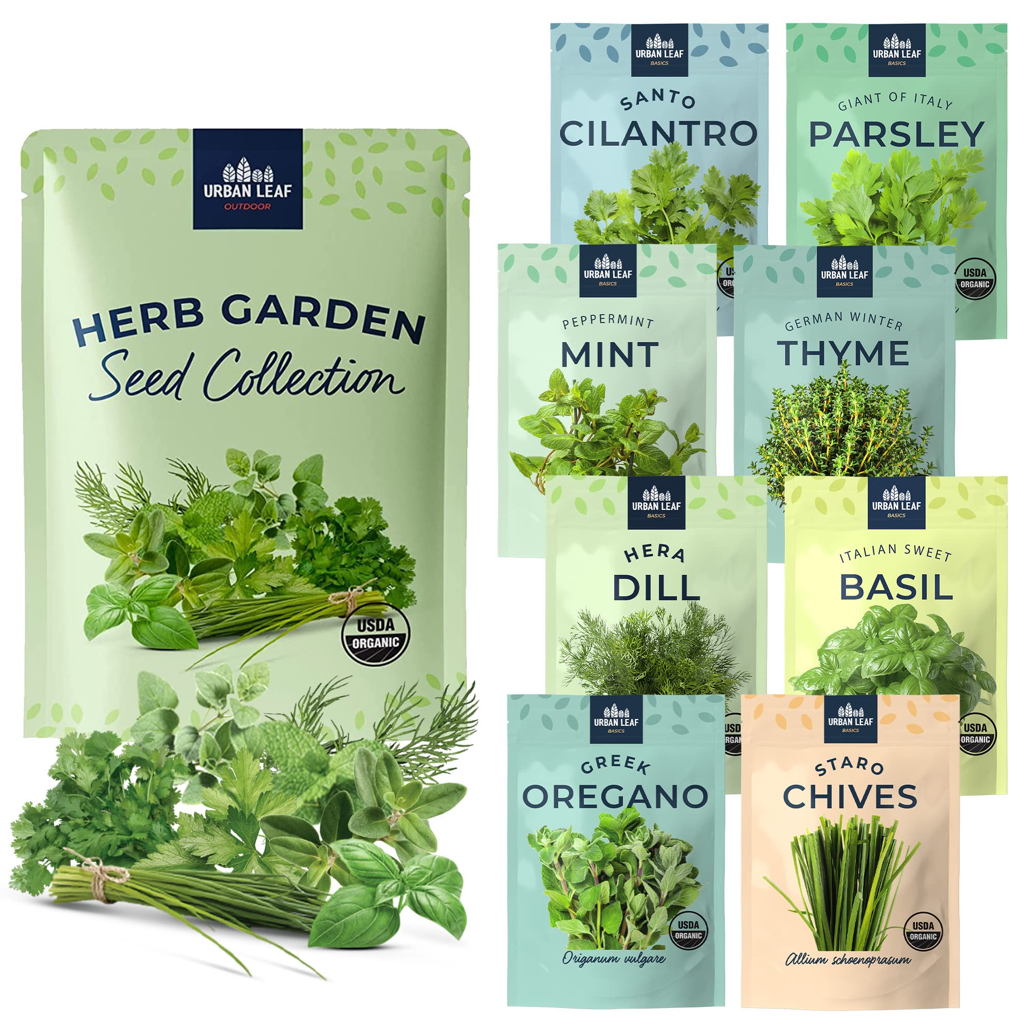 Where To Buy Herb Seeds Or Herb Plants