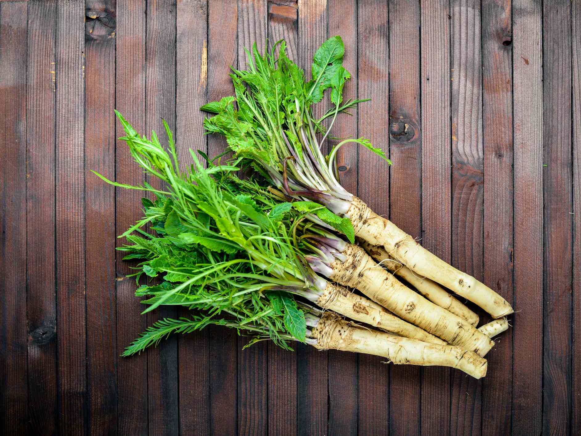 Where To Buy Horseradish Root For Planting