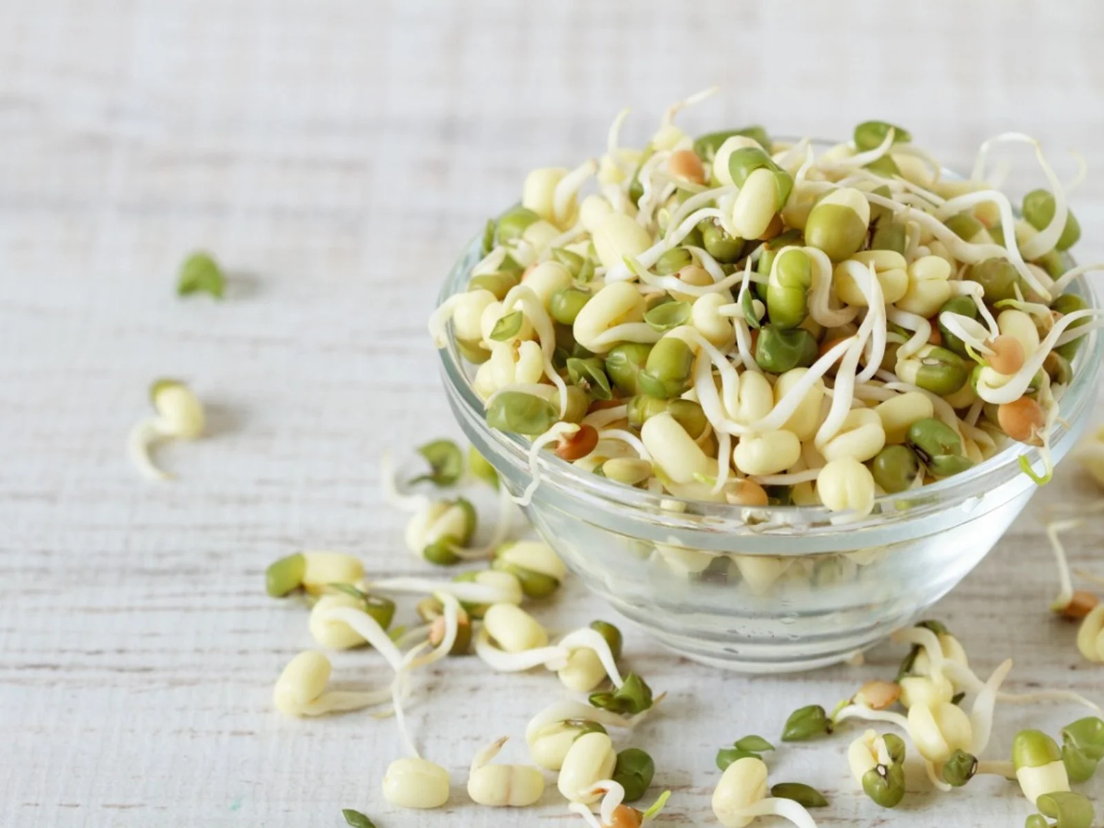 Where To Buy Sprout Seeds