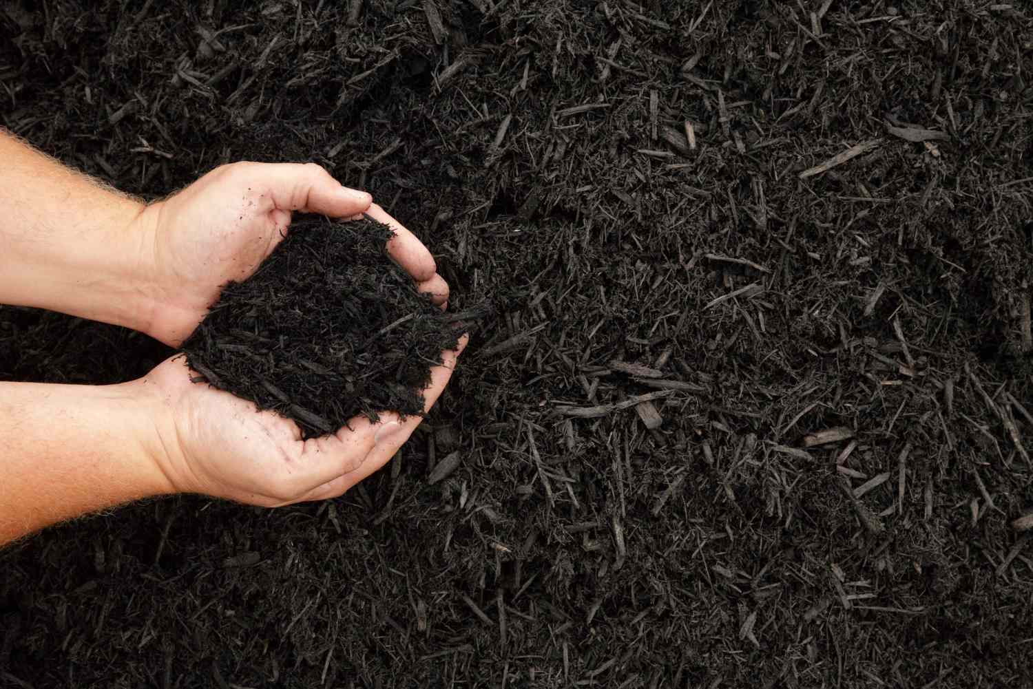 Which Mulch Is Best For Landscaping