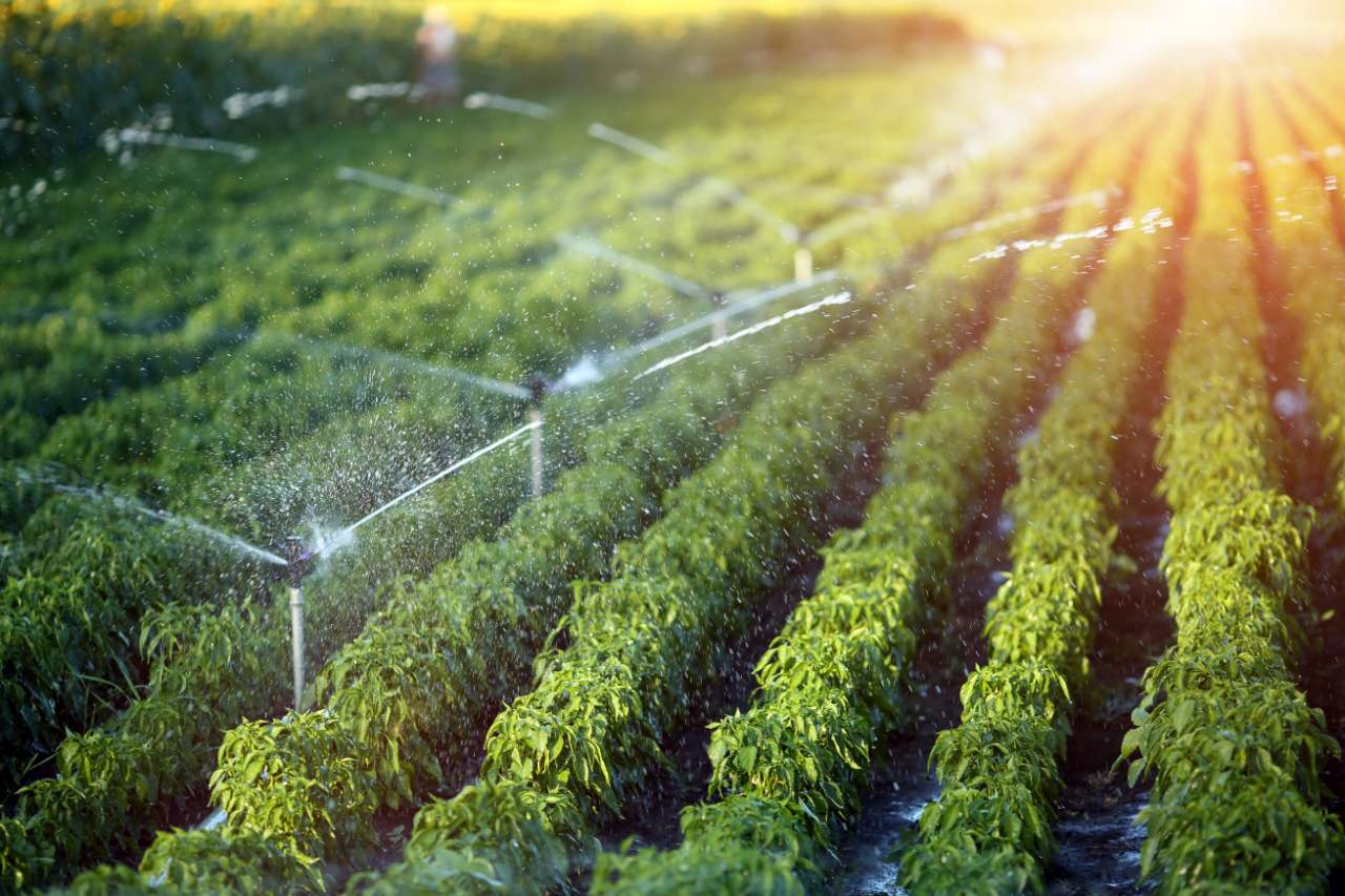 Which Type Of Fertilizer Is Commonly Incorporated Into Irrigation Systems?