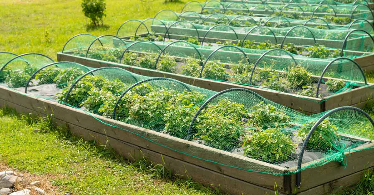 10 Superior Landscaping Nets For 2024