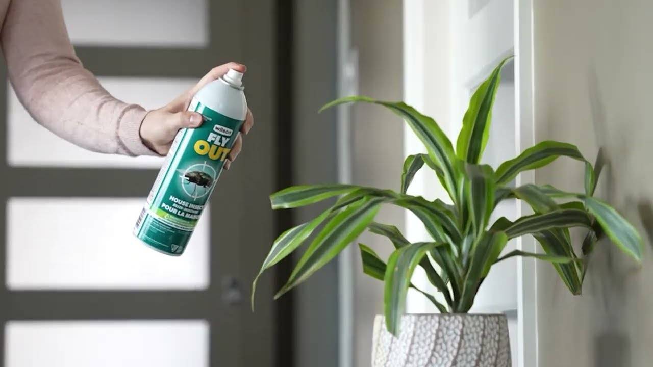 10 Unbelievable Insect Spray for 2024