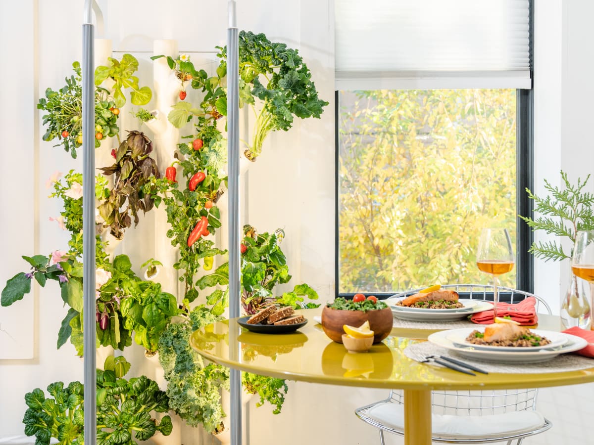 11 Amazing Indoor Hydroponics Growing System for 2024