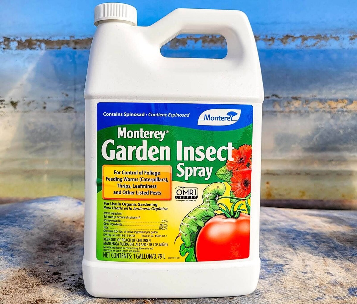 11 Best Monterey Garden Insect Sprays For 2024