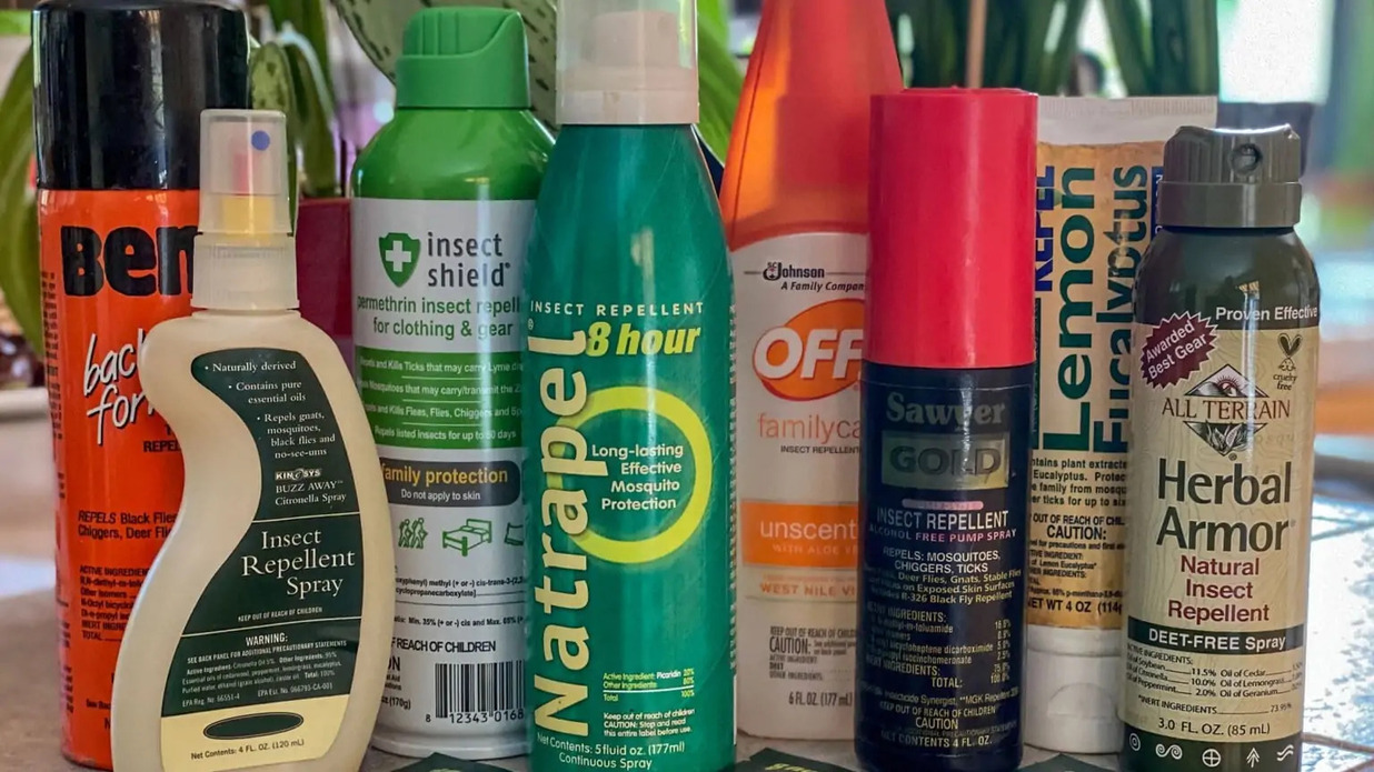 11 Incredible Insect Repellent for 2024