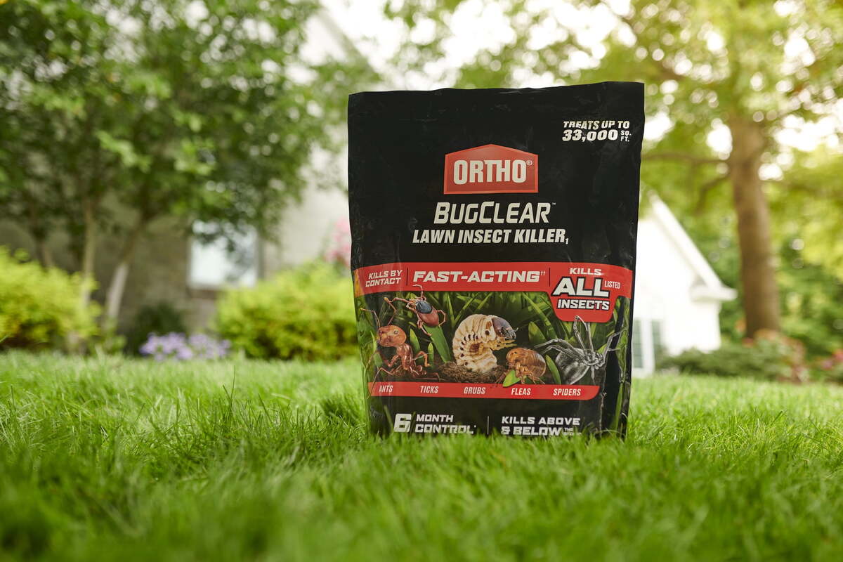 12 Amazing Lawn Insect Killers For 2024