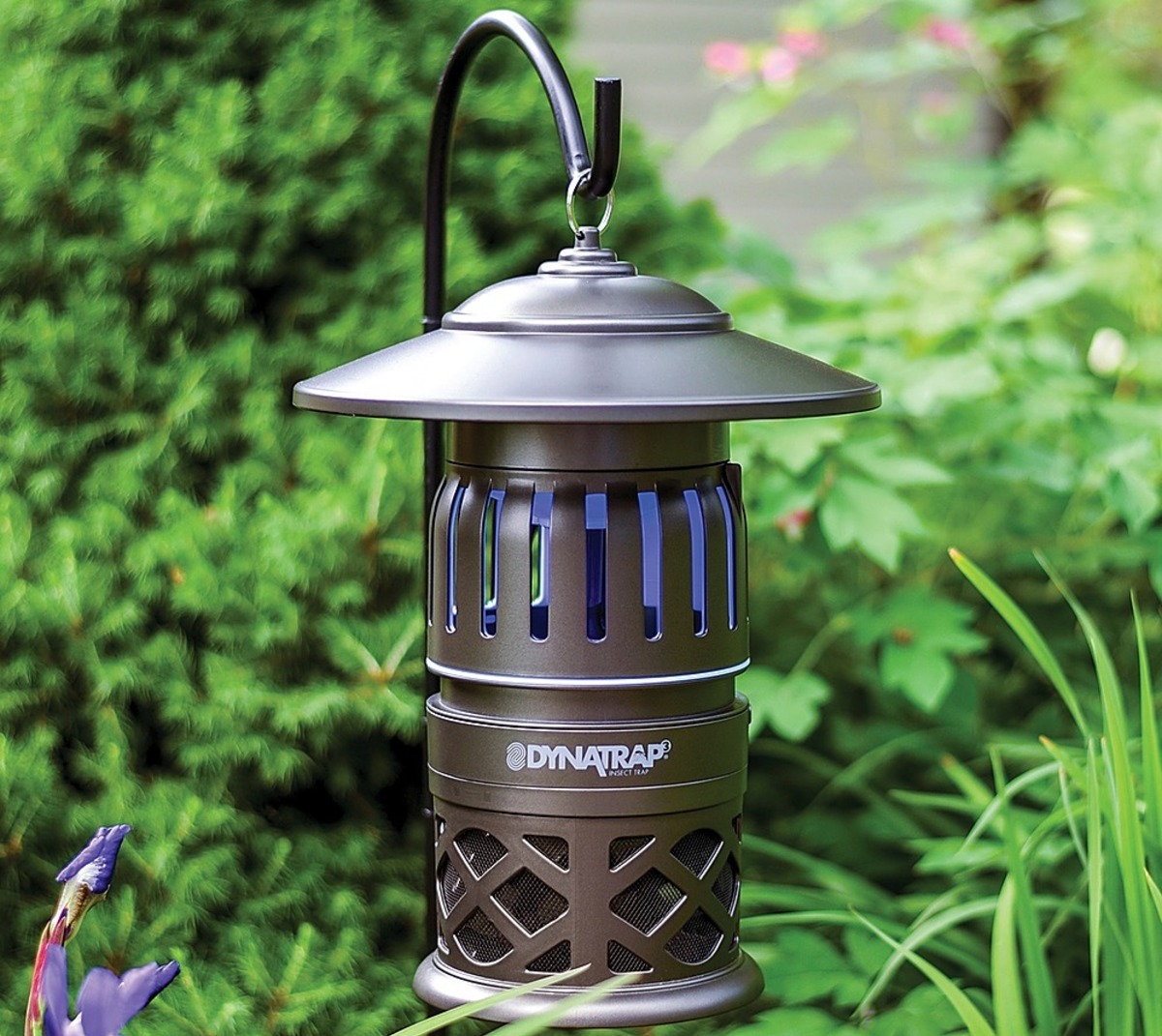 13 Best Dynatrap Insect Trap for 2024