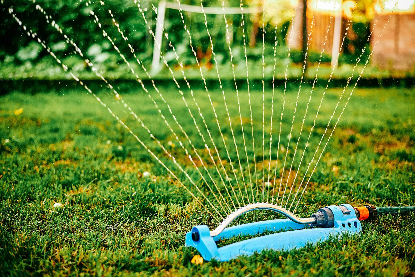 13 Best Irrigation Sprinkler for 2024