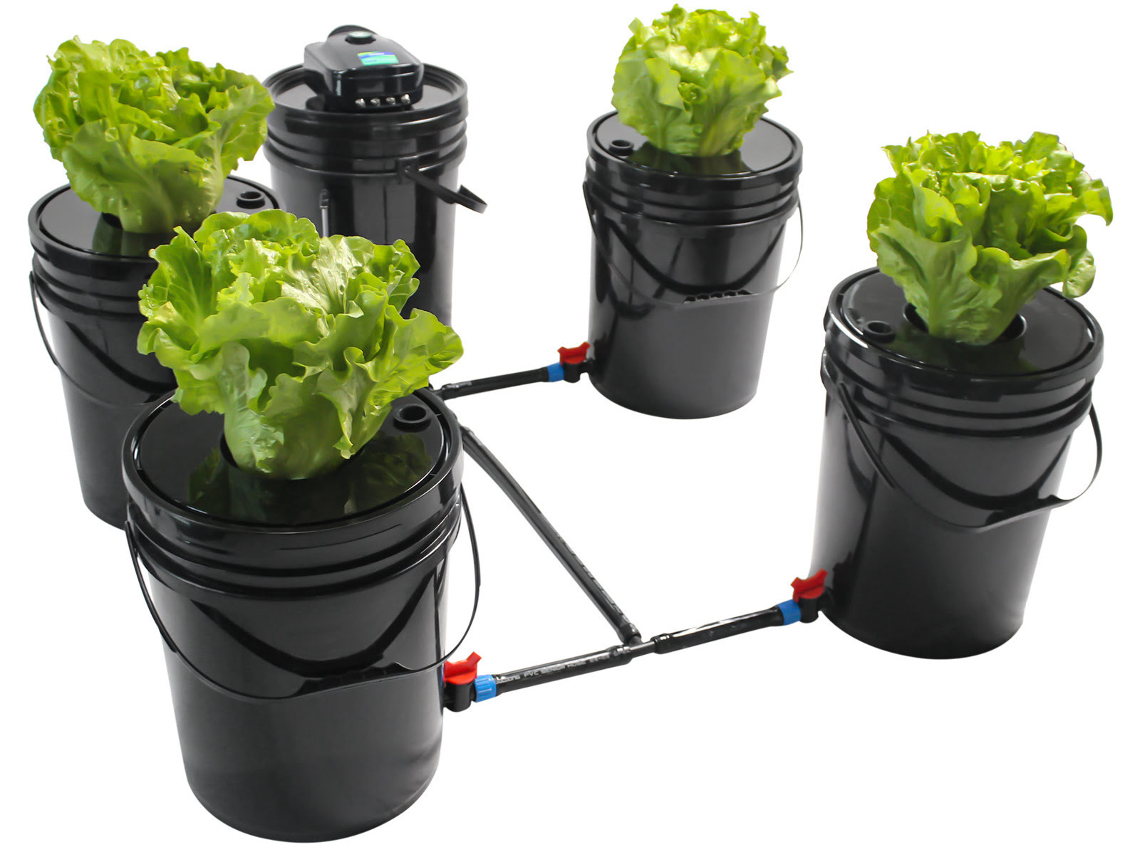 8 Best Bucket Hydroponics Growing Systems For 2024