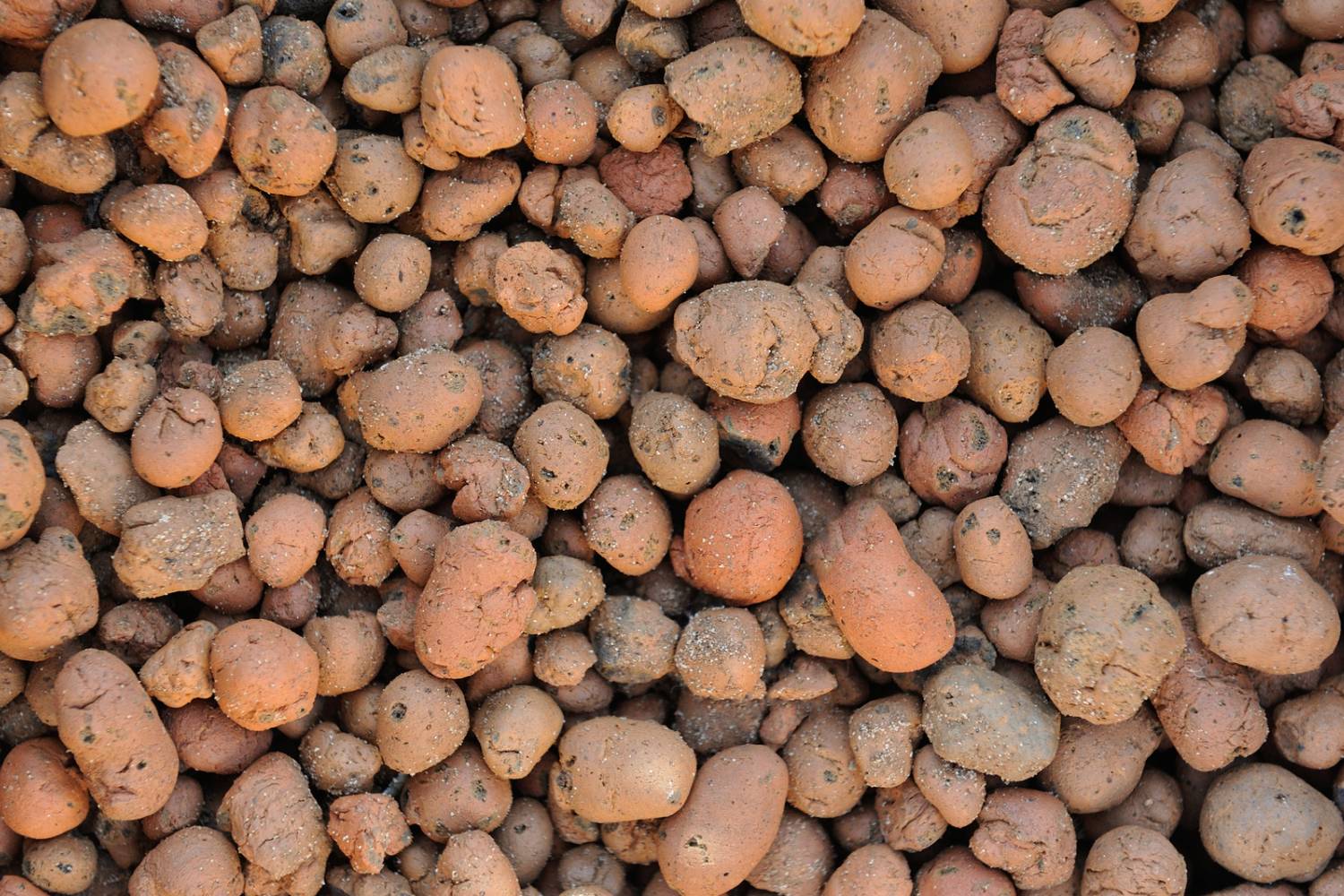 8 Best Clay Pebbles Hydroponics for 2024