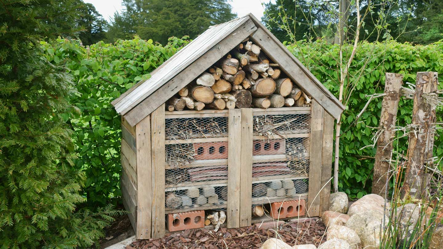 8 Superior Insect Hotels For 2024