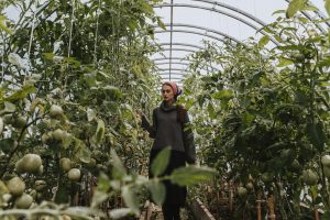 Chicago Gardening With Big Ideas For Tiny Urban Spaces