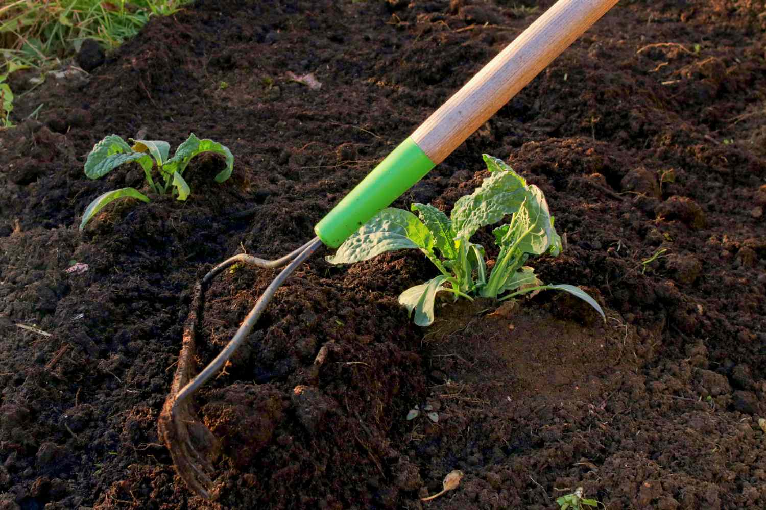 How Deep Should Topsoil Be For Garden