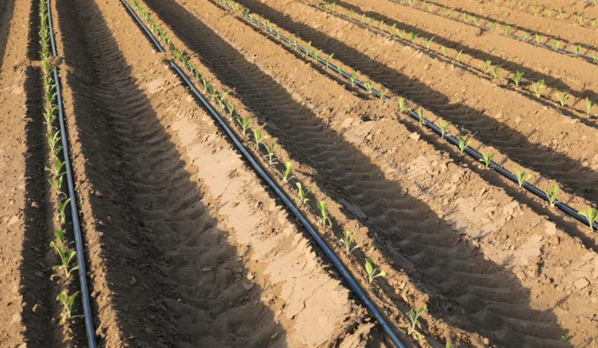 How Deep To Bury Drip Irrigation
