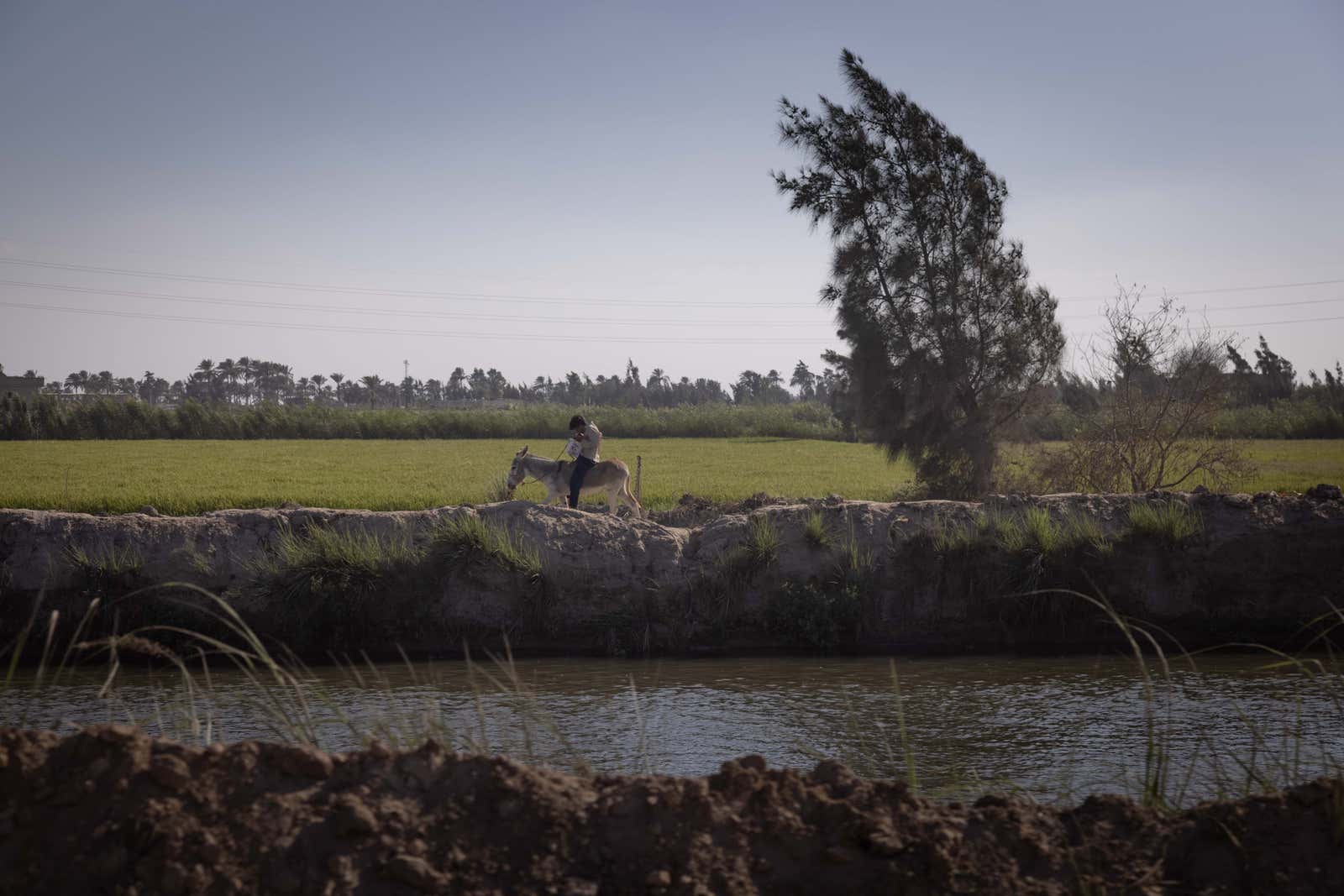 How Did Irrigation Canals Expand Farmland In Egypt