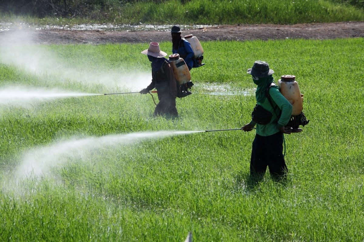 How Do Pesticides And Fertilizers Cause Water Pollution?