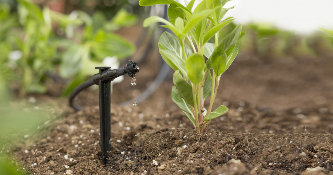 How Does Drip Irrigation Save Water