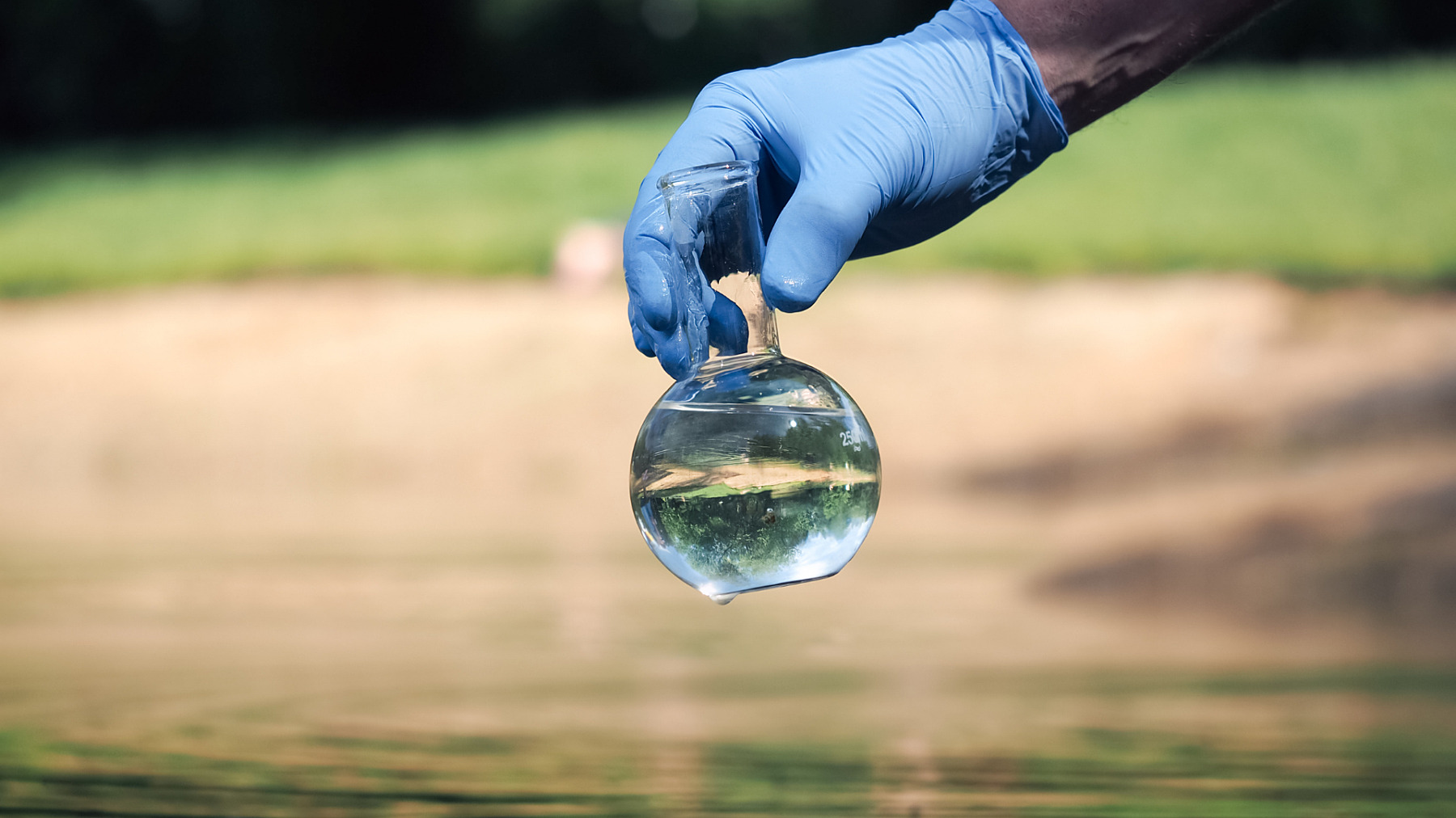 How Does Pesticides Affect Water Quality