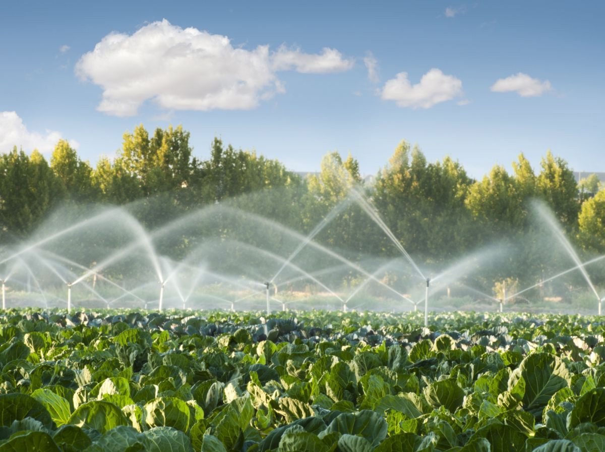 How Does Pesticides Get Into Water