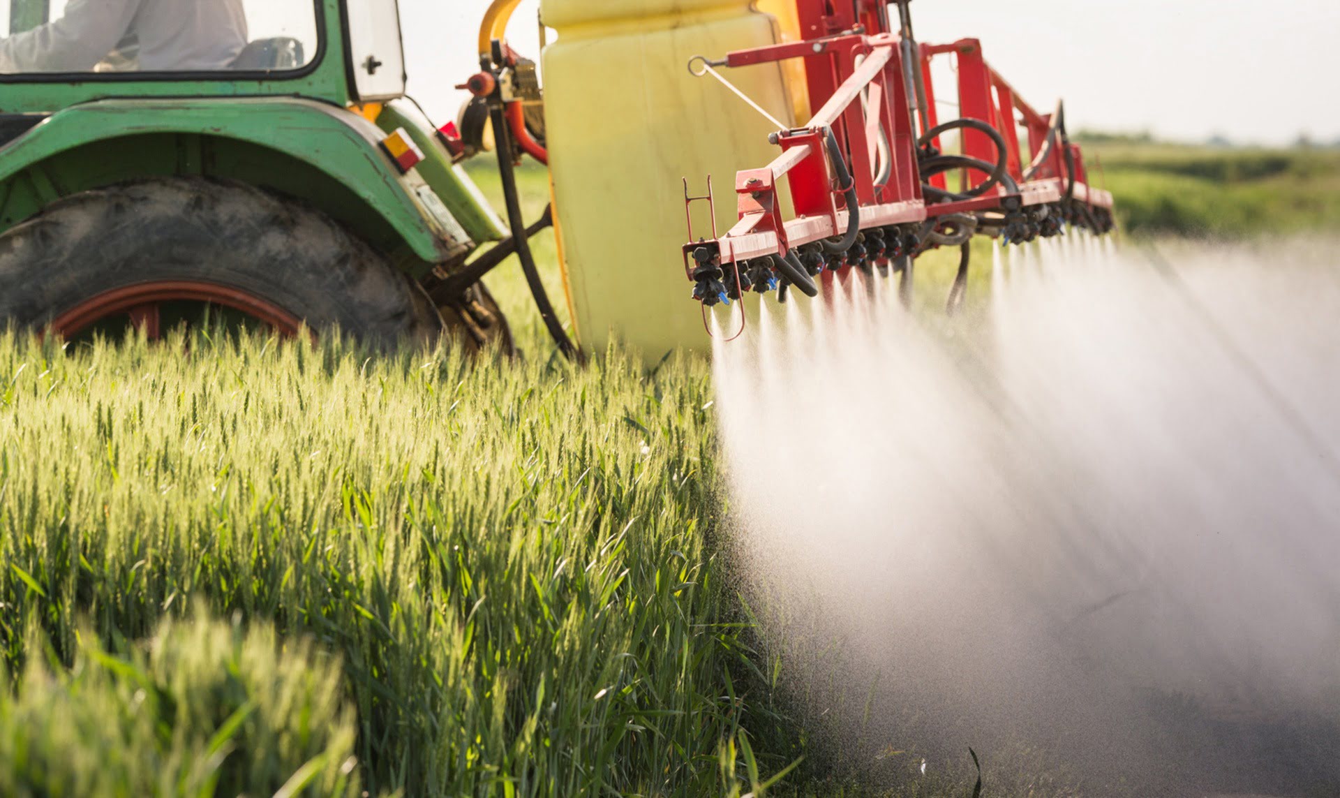 How Does Pesticides Increase Crop Yield
