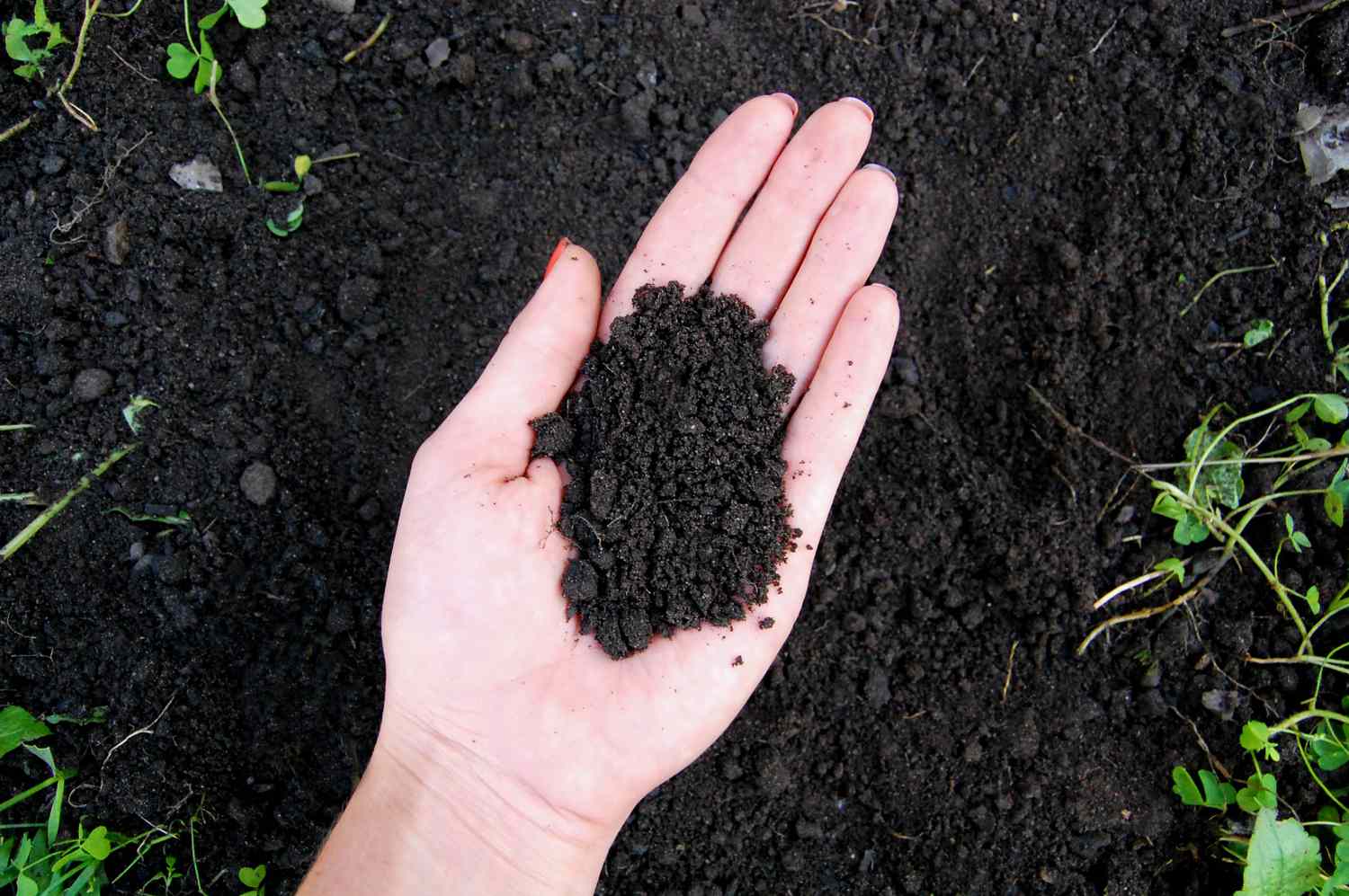 How Does Topsoil Form?