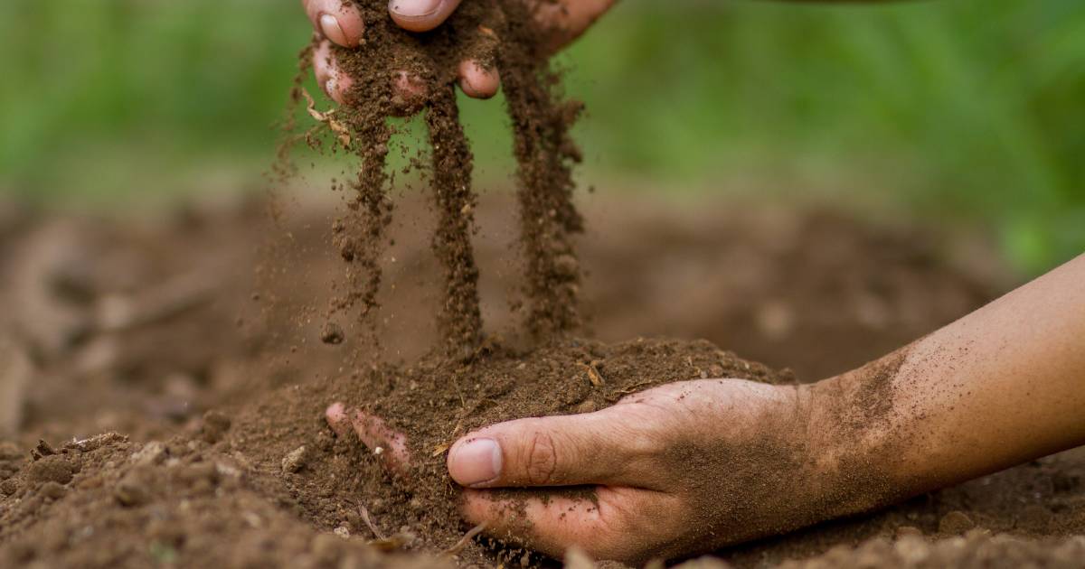 How Does Topsoil Replenish Itself?