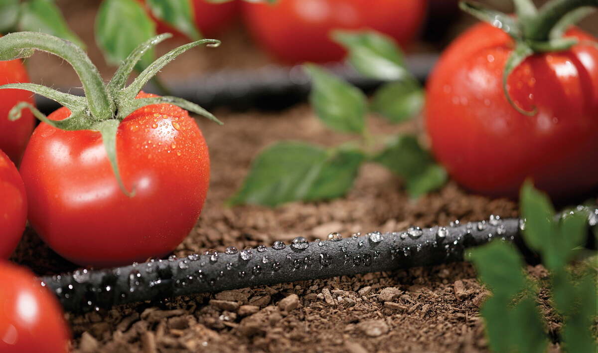 How Long Does Drip Irrigation Tubing Last