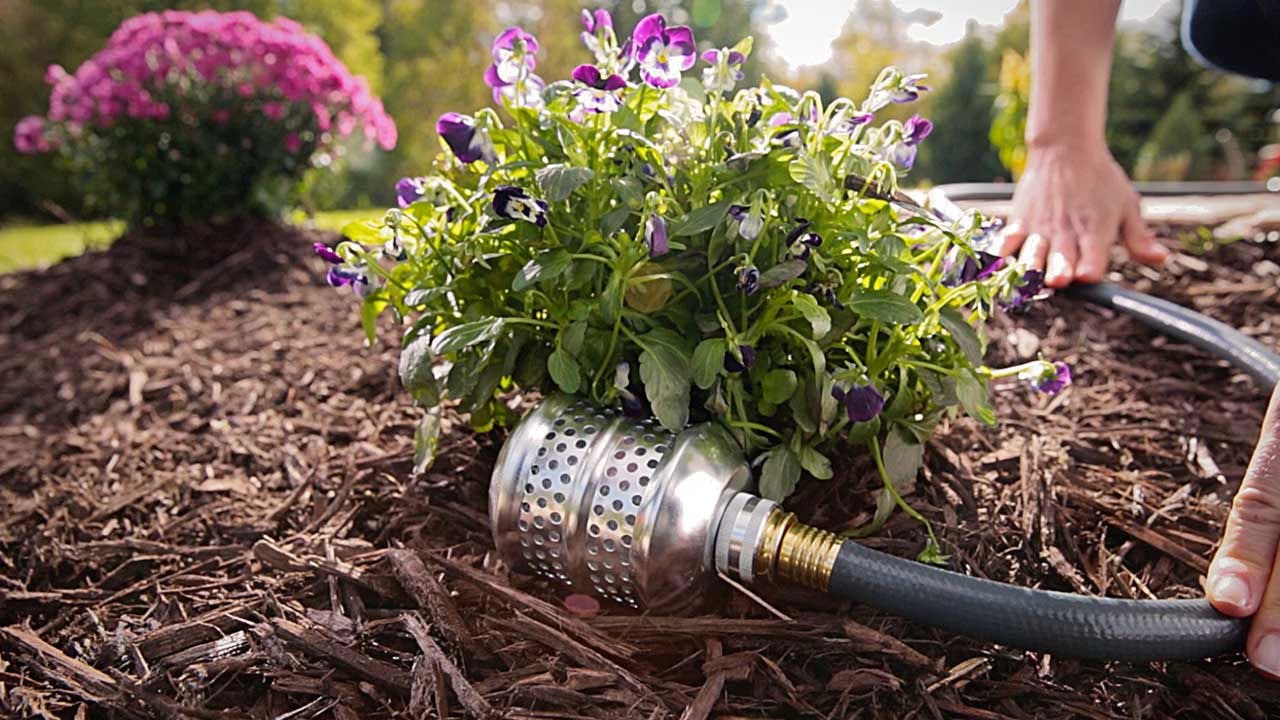 How Long To Water Shrubs With Soaker Hose