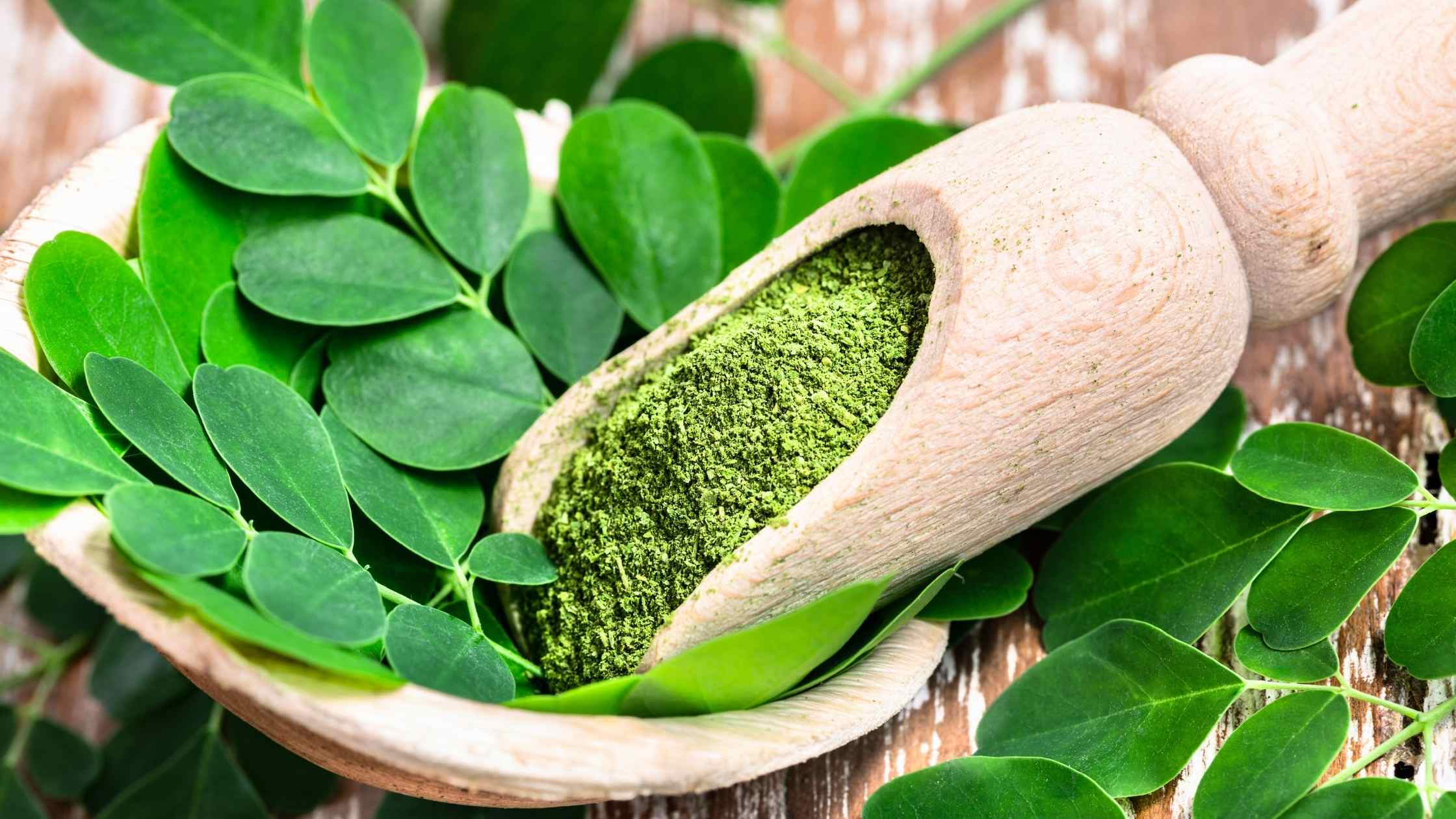 How Many Moringa Seeds To Eat Safely