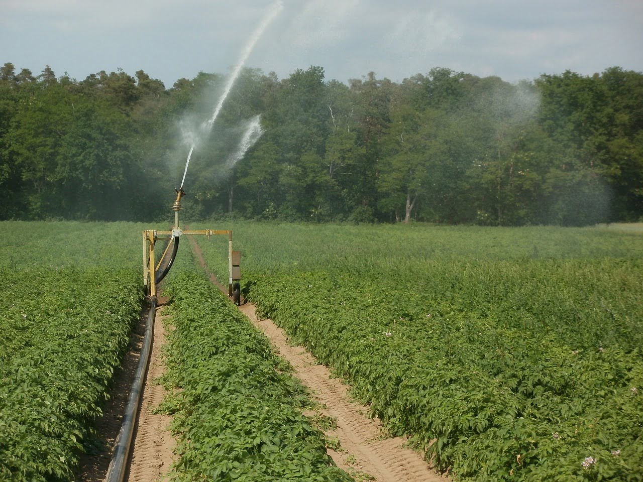 How Much Do Farm Irrigation Systems Cost