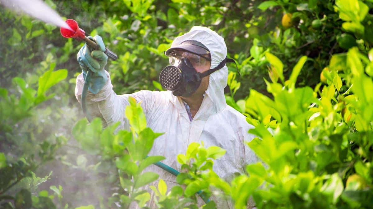 How Much Pesticides Are Used Each Year