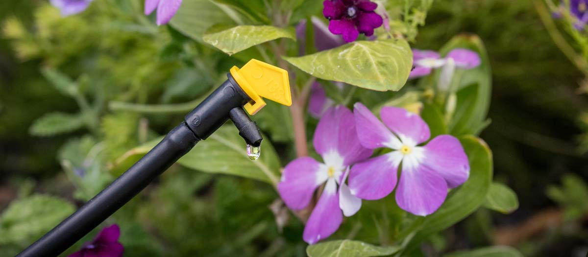 How To Cap Off A Drip Irrigation Line