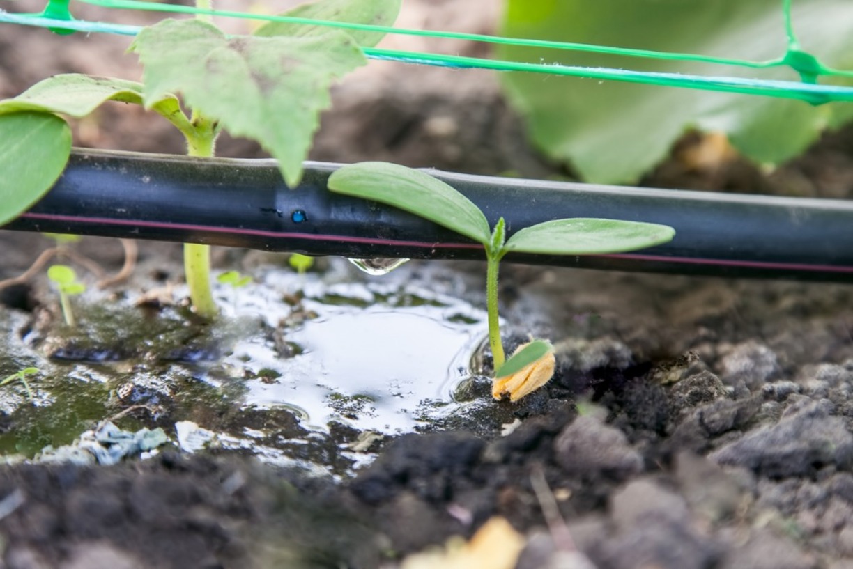 How To Fix A Leak In Drip Irrigation