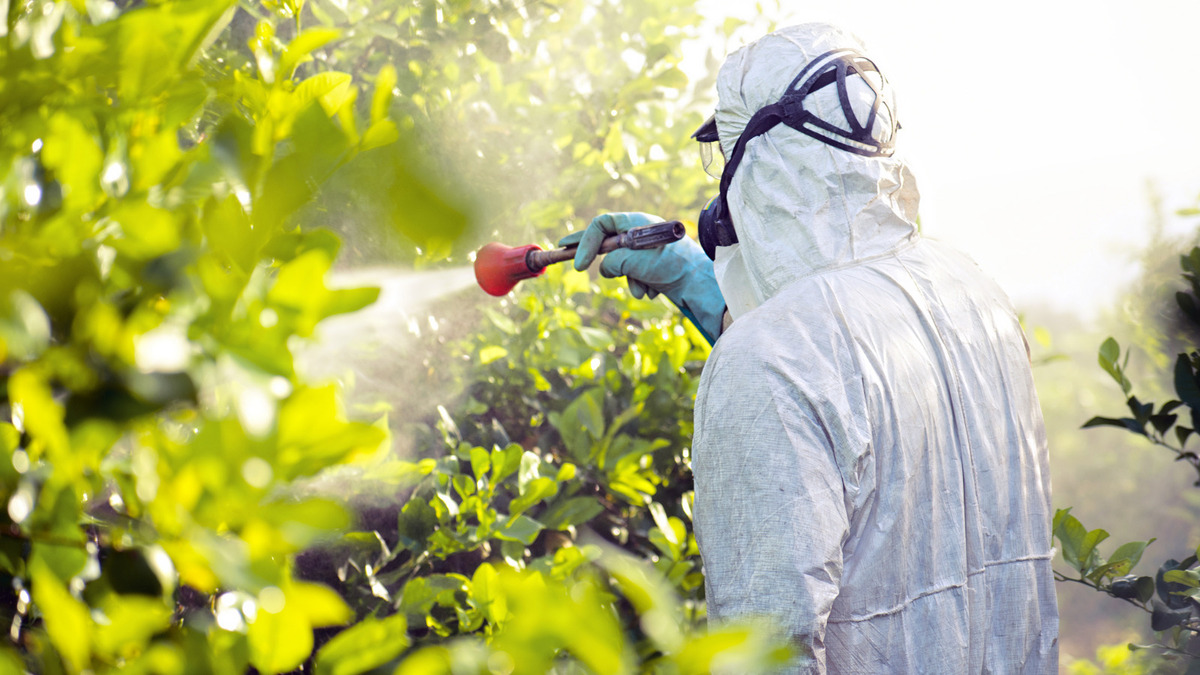 How To Get Pesticides Out Of Your Body