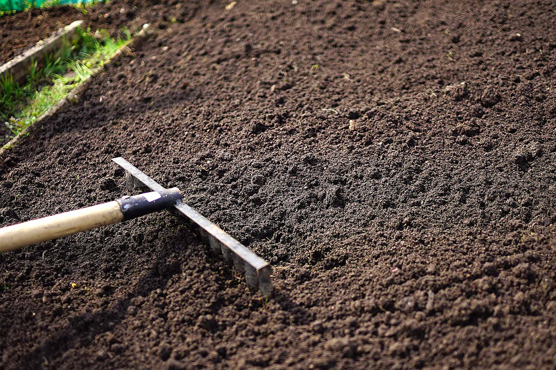 How To Get Rid Of Topsoil