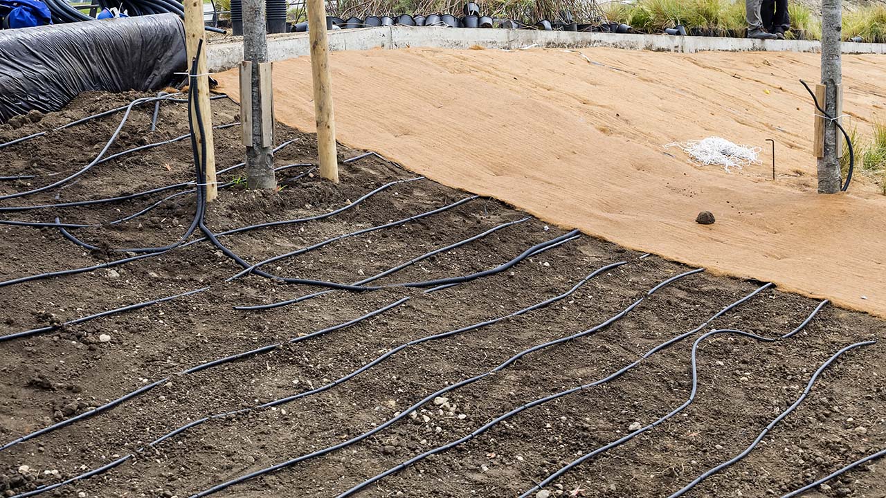 How To Hide Drip Irrigation Lines On Concrete