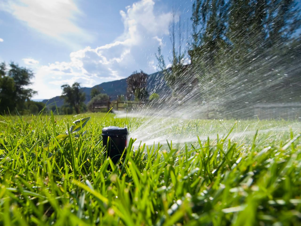 How To Install An Irrigation System In Your Yard