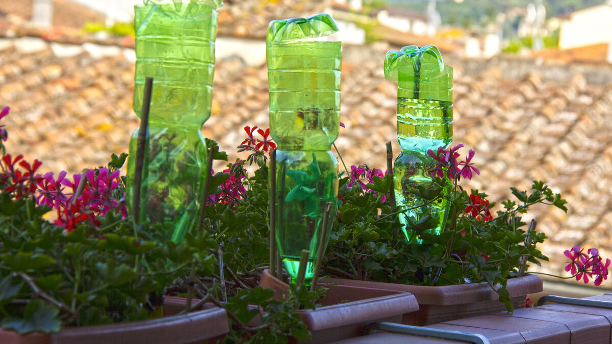 How To Make Drip Water Irrigation With Plastic Bottle