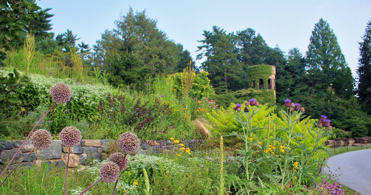How To Plant Shrubs On A Hillside