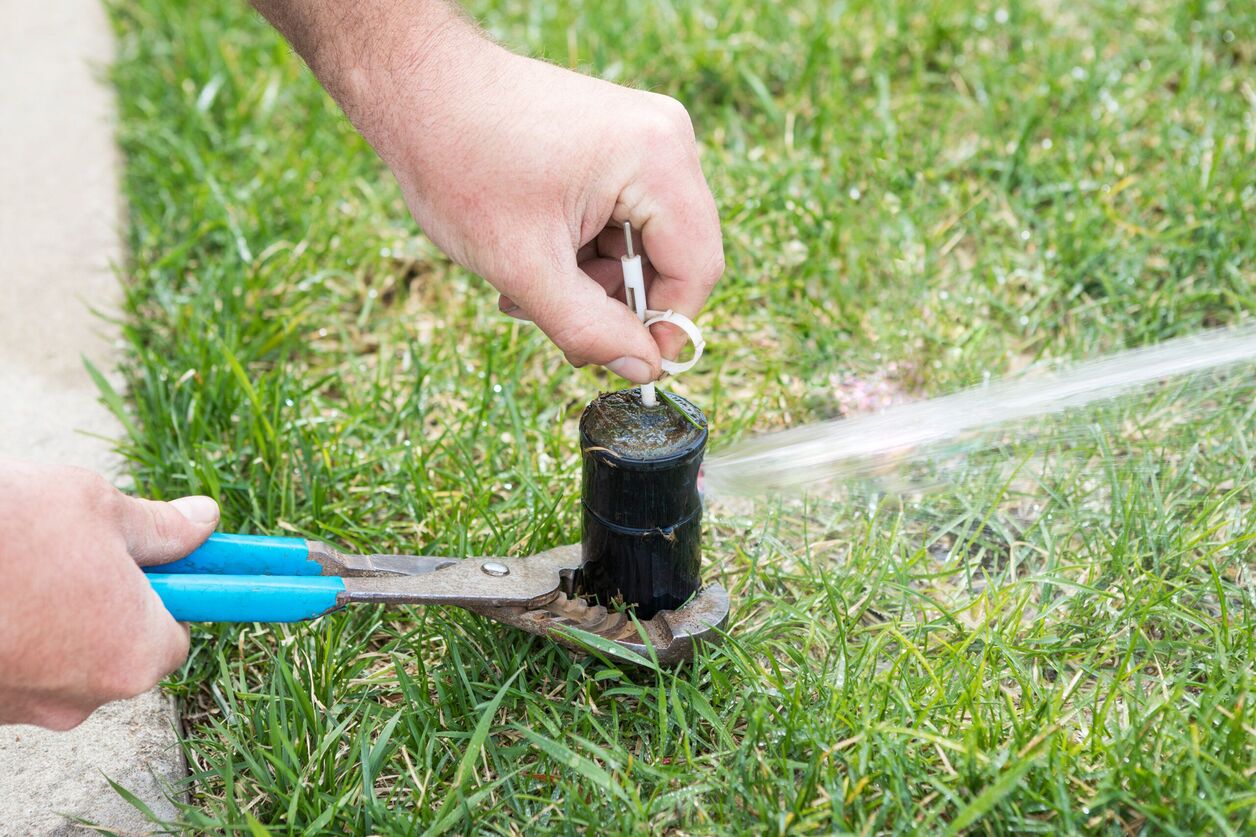 How To Replace An Irrigation Sprinkler Head