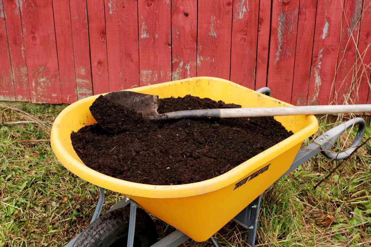 How To Turn Topsoil Into Garden Soil
