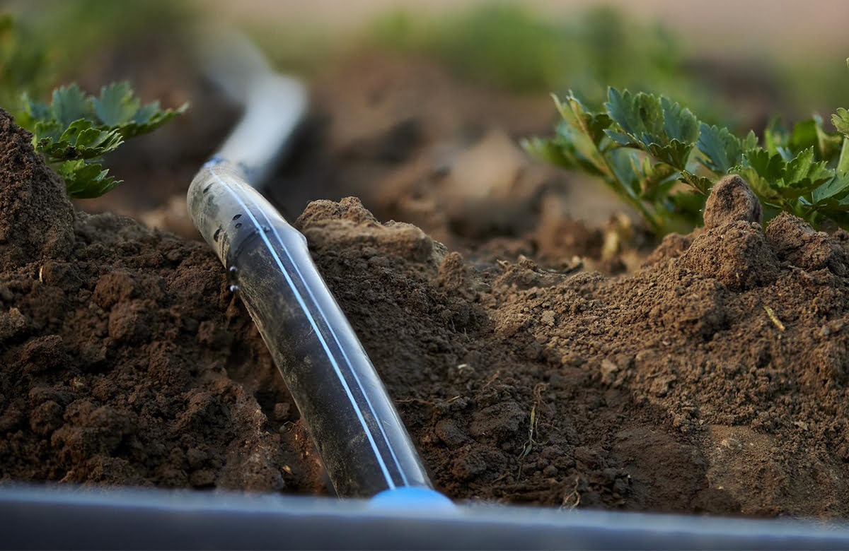How To Use Drip Tape Irrigation