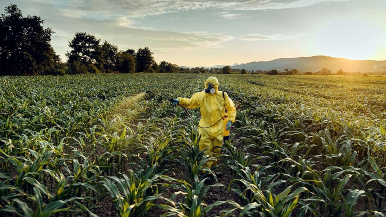 What Are Advantages Of Pesticides